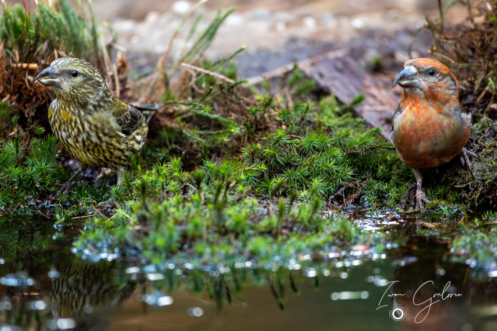 27 april 2022 185124  5D48364